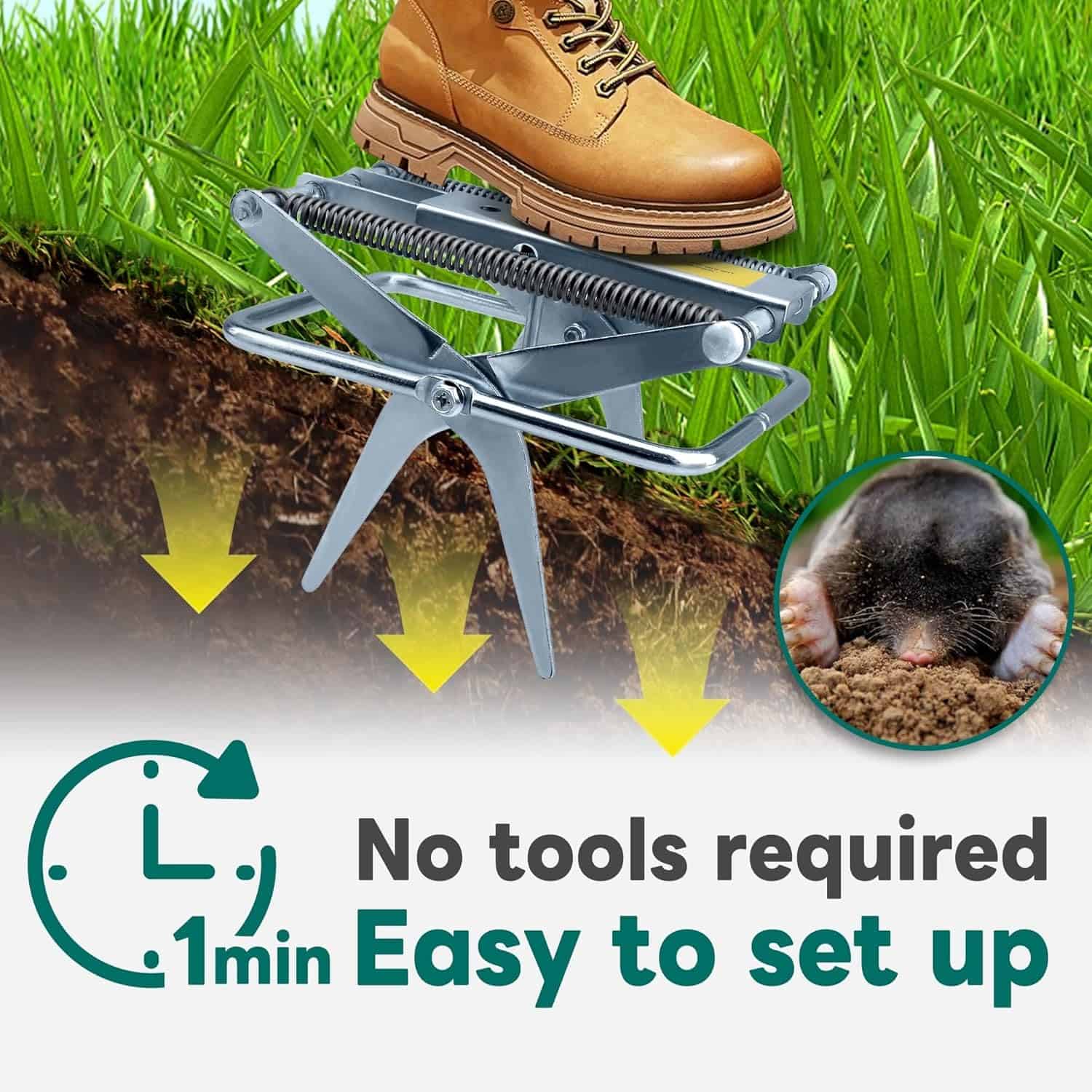 Efficient mole trap with no tools, quick setup in grassy soil for pest control.