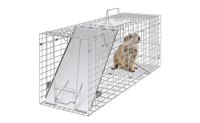mole trap metal